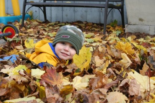 2115_1086482075736_1036926732_279812_9095_n