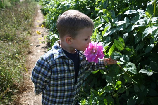 8 27 06 to 10 06 1168