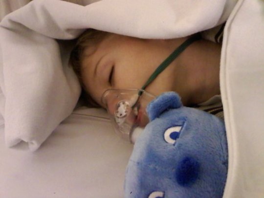 7916_1223514581463_1036926732_684639_8292838_n