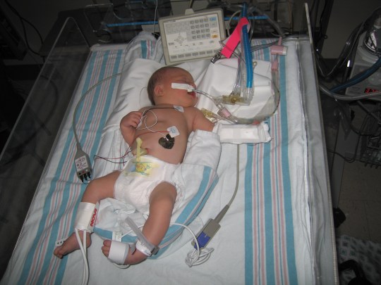 2005 pics Sasha newborn will too 041