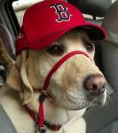 2012-05-05_17-32-16_640-1