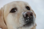 IMG_2192