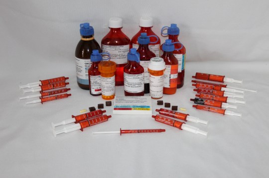 Sasha's Daily Medication 