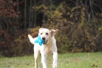 IMG_9882