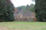 IMG_9919