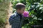 Smell the flowers