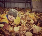 Will Leaves Dusk