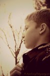Will2
