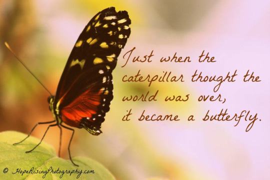 404159_140566352752633_841374186_n