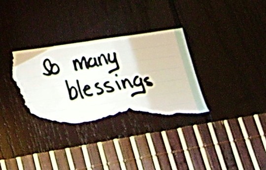 soraya nulliah so many blessings