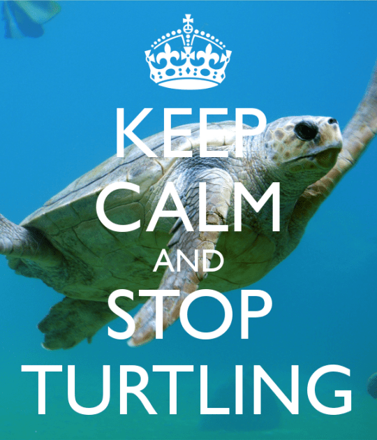 keep-calm-and-stop-turtling